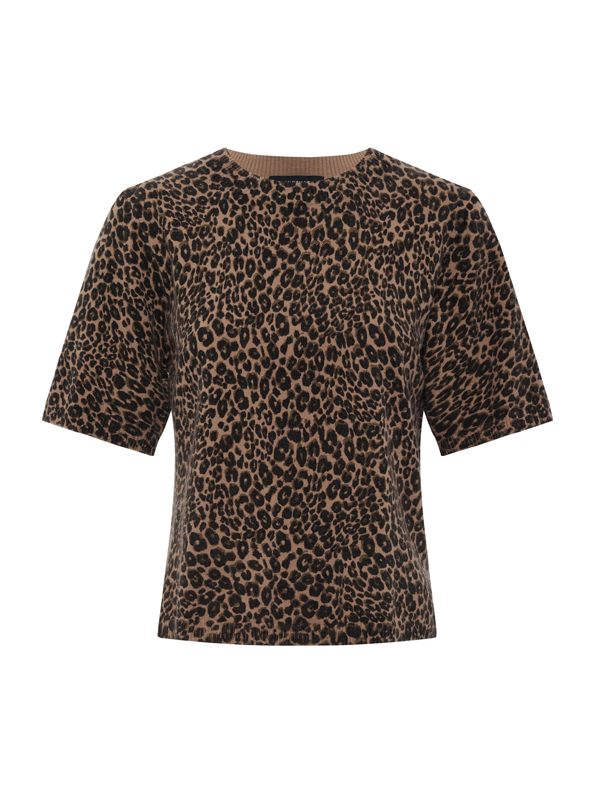 Sanctuary Clothing Recommended - Perfect Sweater Tee Le Cat